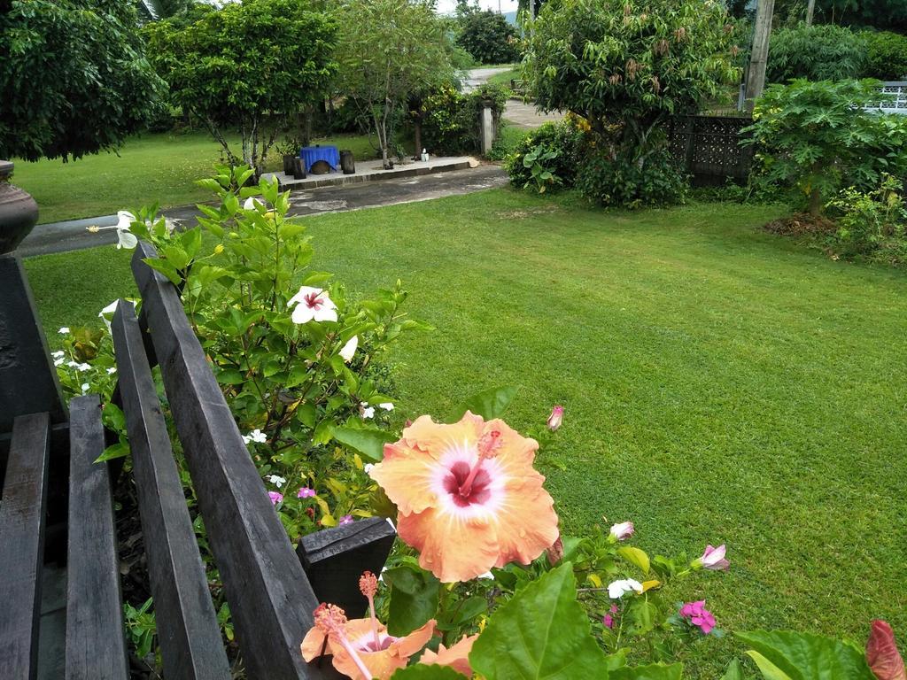 Oui Kaew Homestay Phayao Extérieur photo