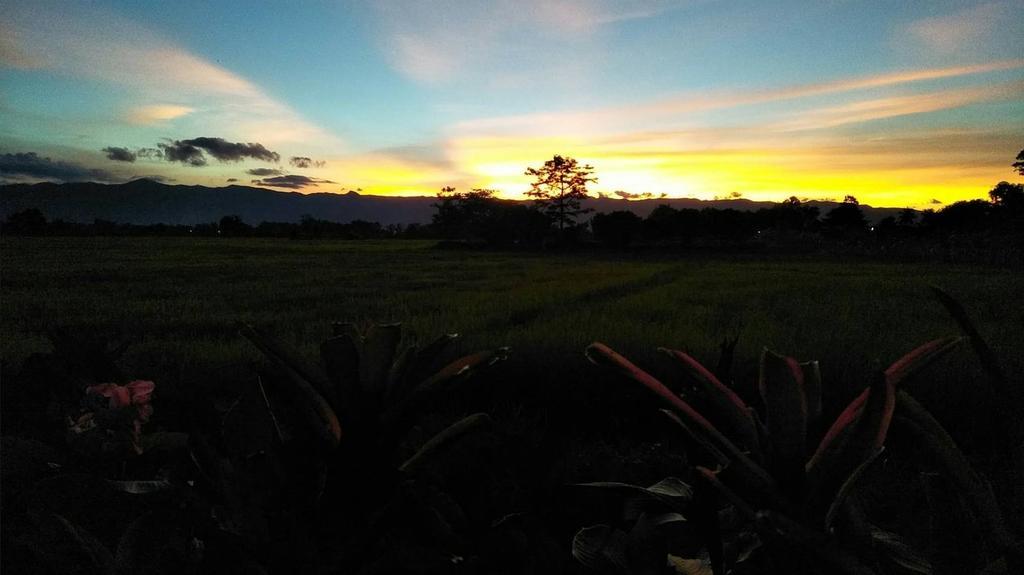 Oui Kaew Homestay Phayao Extérieur photo